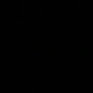 Meet your Posher, Spenser